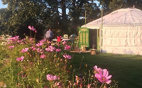 Crazy Pheasant - North Wales - Luxury Mongolian Yurt And Hot Yub - Seclusion And Privacy - Digital Detox